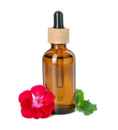 Photo of Bottle of geranium essential oil, beautiful flower and green leaf isolated on white