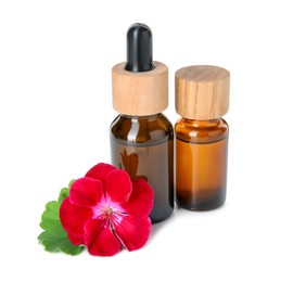 Photo of Bottles of geranium essential oil and beautiful flower isolated on white