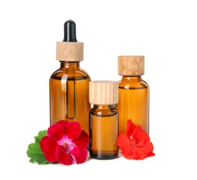 Photo of Bottles of geranium essential oil and beautiful flowers isolated on white