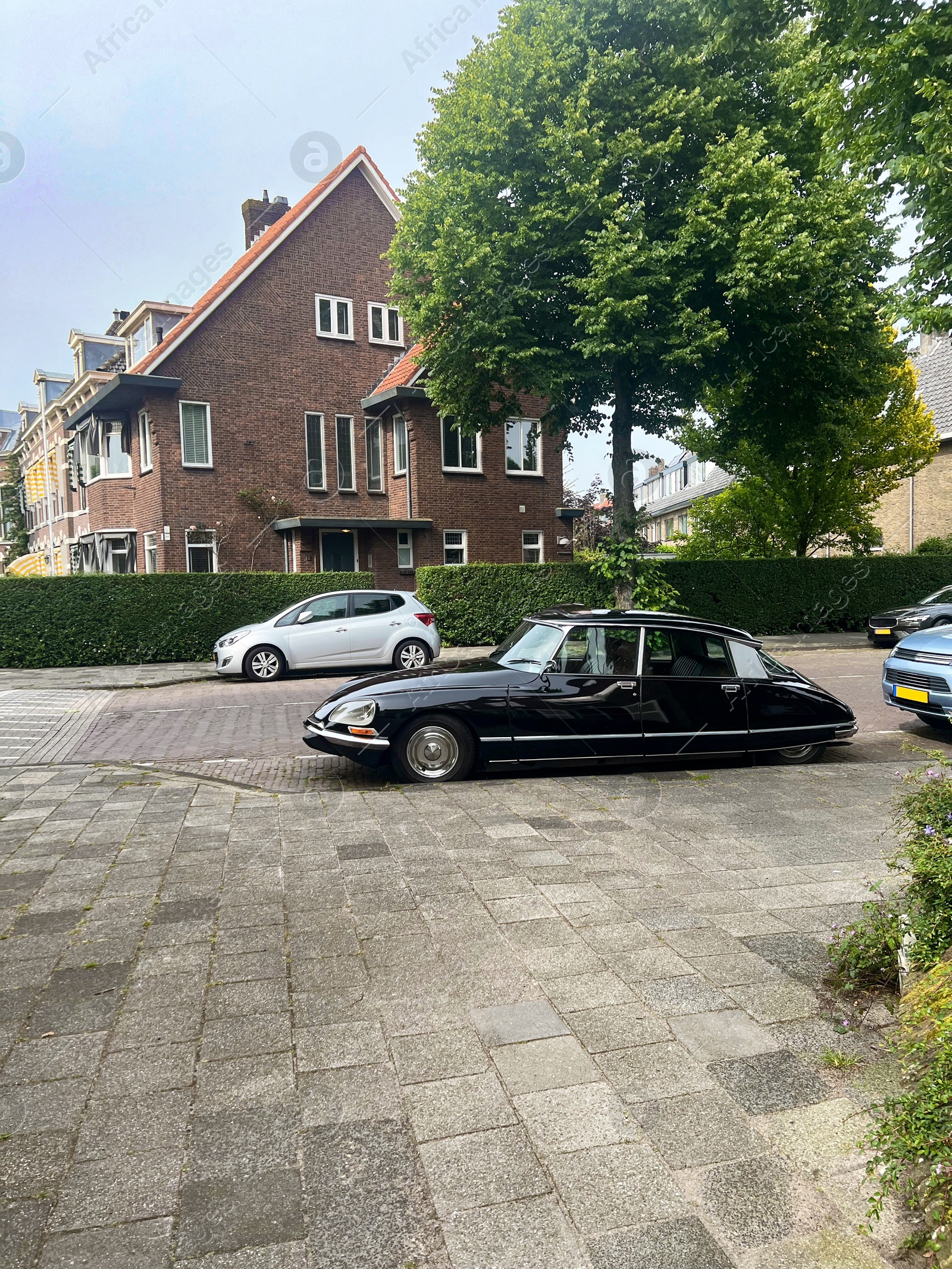 Photo of View of street with different cars, green trees and buildings