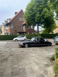 View of street with different cars, green trees and buildings