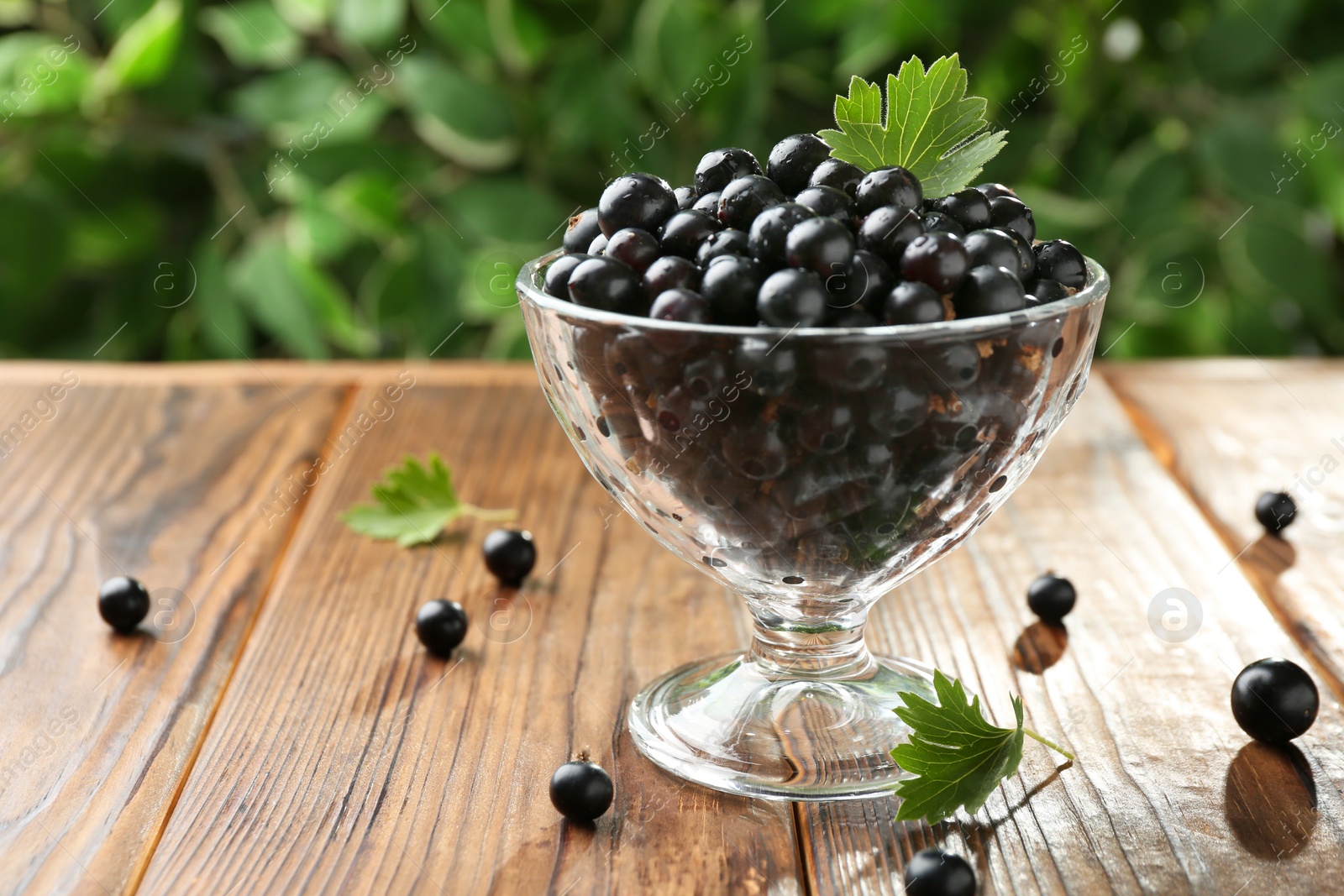 Photo of Ripe black currants and leaves in glass on wooden table, space for text