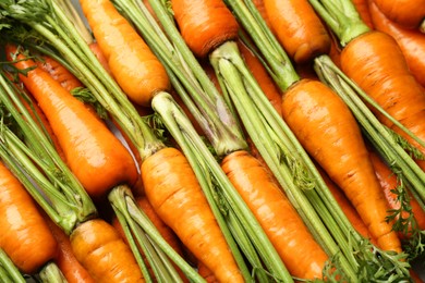 Photo of Tasty ripe juicy carrots as background, closeup