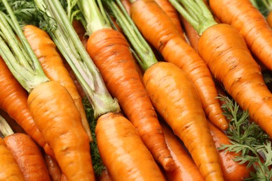 Tasty ripe juicy carrots as background, closeup