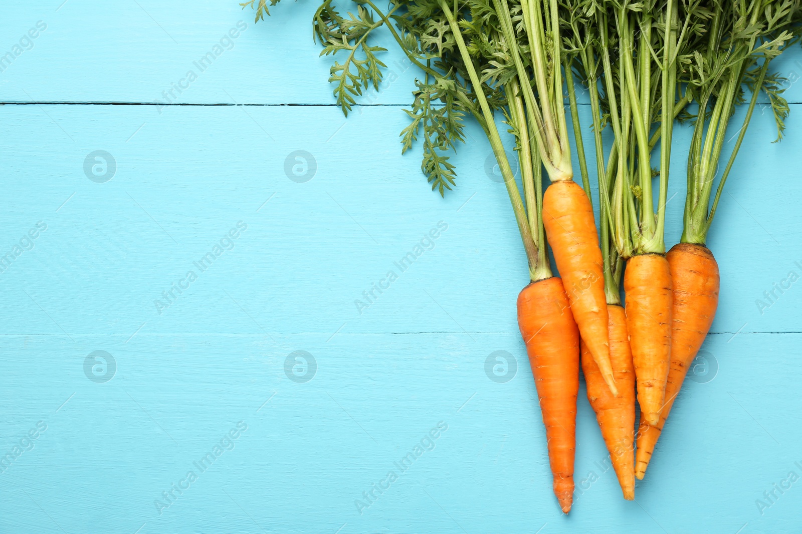 Photo of Tasty ripe juicy carrots on light blue wooden table, flat lay. Space for text