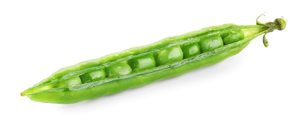 One green fresh pea pod isolated on white