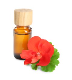 Photo of Bottle of geranium essential oil and beautiful flower isolated on white