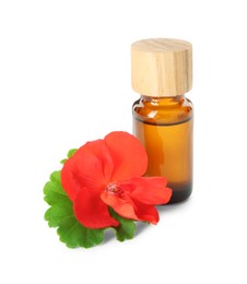 Photo of Bottle of geranium essential oil and beautiful flower isolated on white