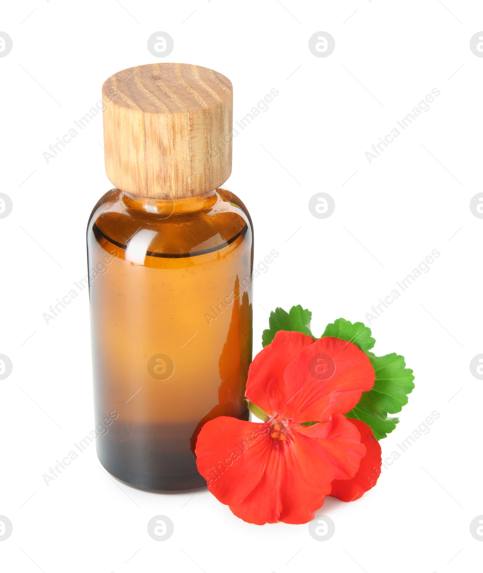 Photo of Bottle of geranium essential oil and beautiful flower isolated on white