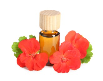 Photo of Bottle of geranium essential oil and beautiful flowers isolated on white