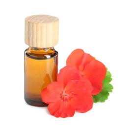 Photo of Bottle of geranium essential oil and beautiful flowers isolated on white