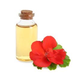 Photo of Bottle of geranium essential oil and beautiful flower isolated on white