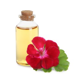 Photo of Bottle of geranium essential oil and beautiful flower isolated on white