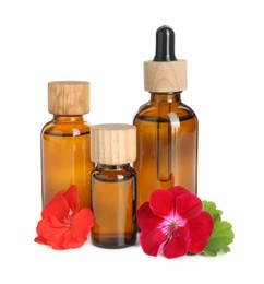 Photo of Bottles of geranium essential oil and beautiful flowers isolated on white