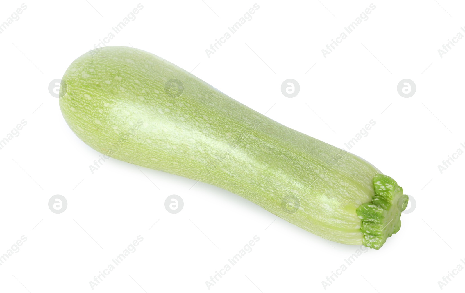 Photo of One fresh ripe zucchini isolated on white, top view