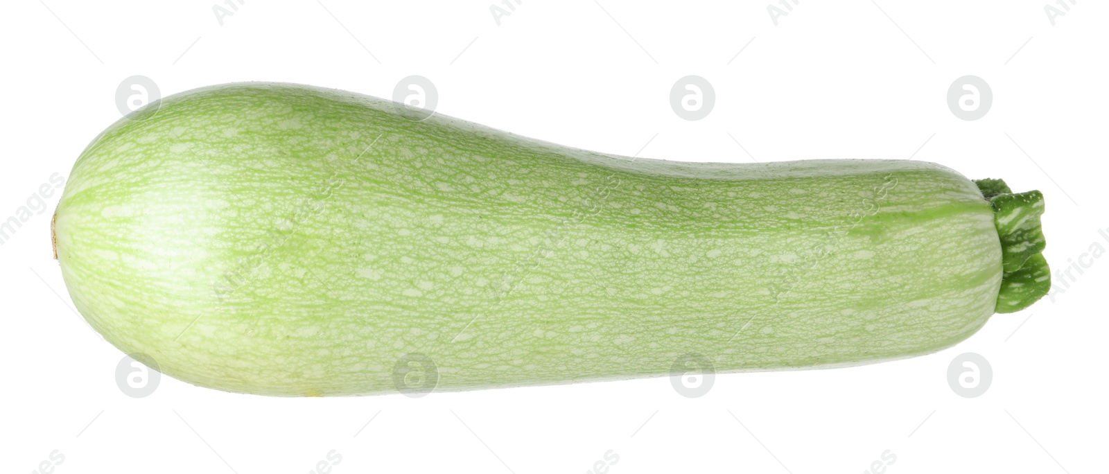 Photo of One fresh ripe zucchini isolated on white