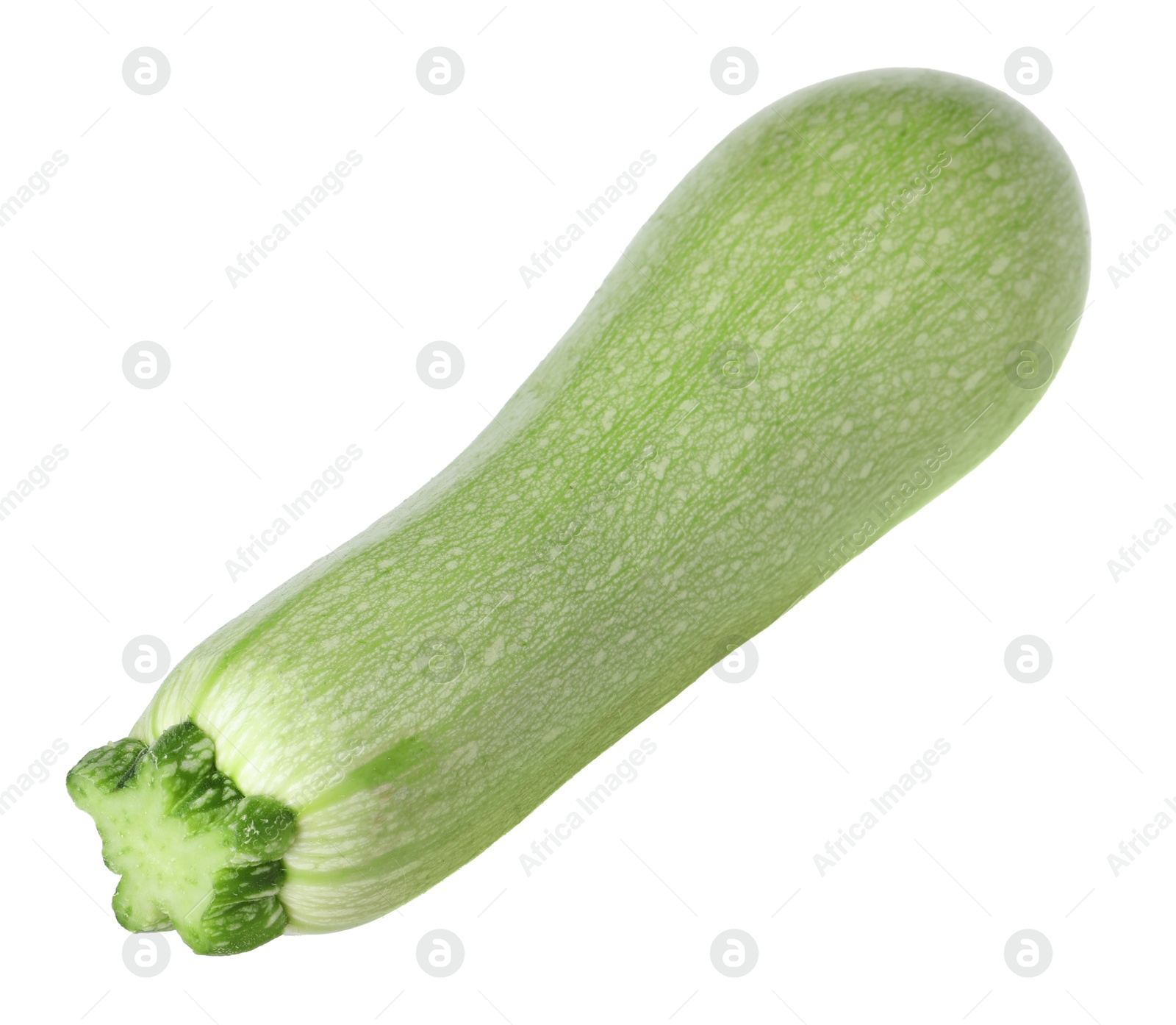 Photo of One fresh ripe zucchini isolated on white