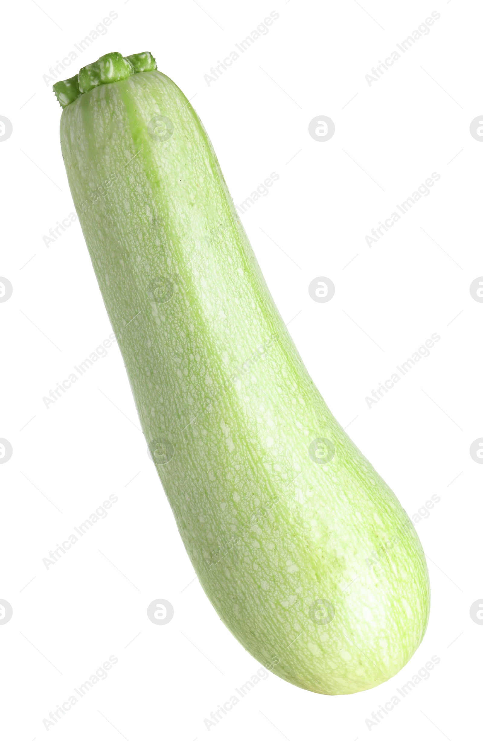 Photo of One fresh ripe zucchini isolated on white