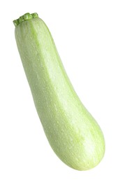 Photo of One fresh ripe zucchini isolated on white