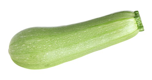 Photo of One fresh ripe zucchini isolated on white