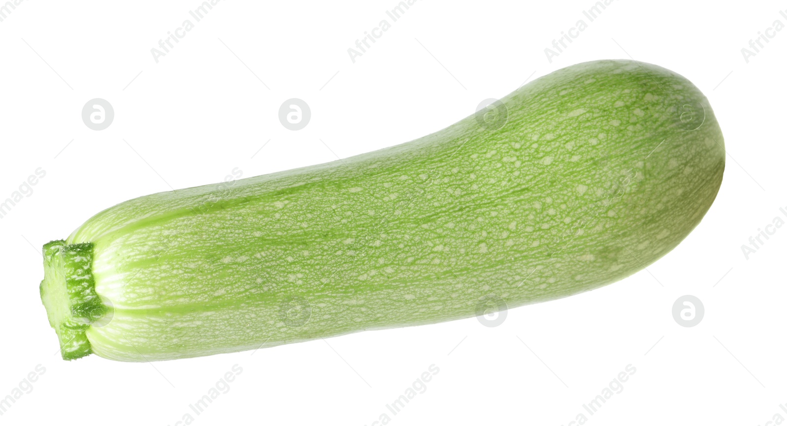 Photo of One fresh ripe zucchini isolated on white