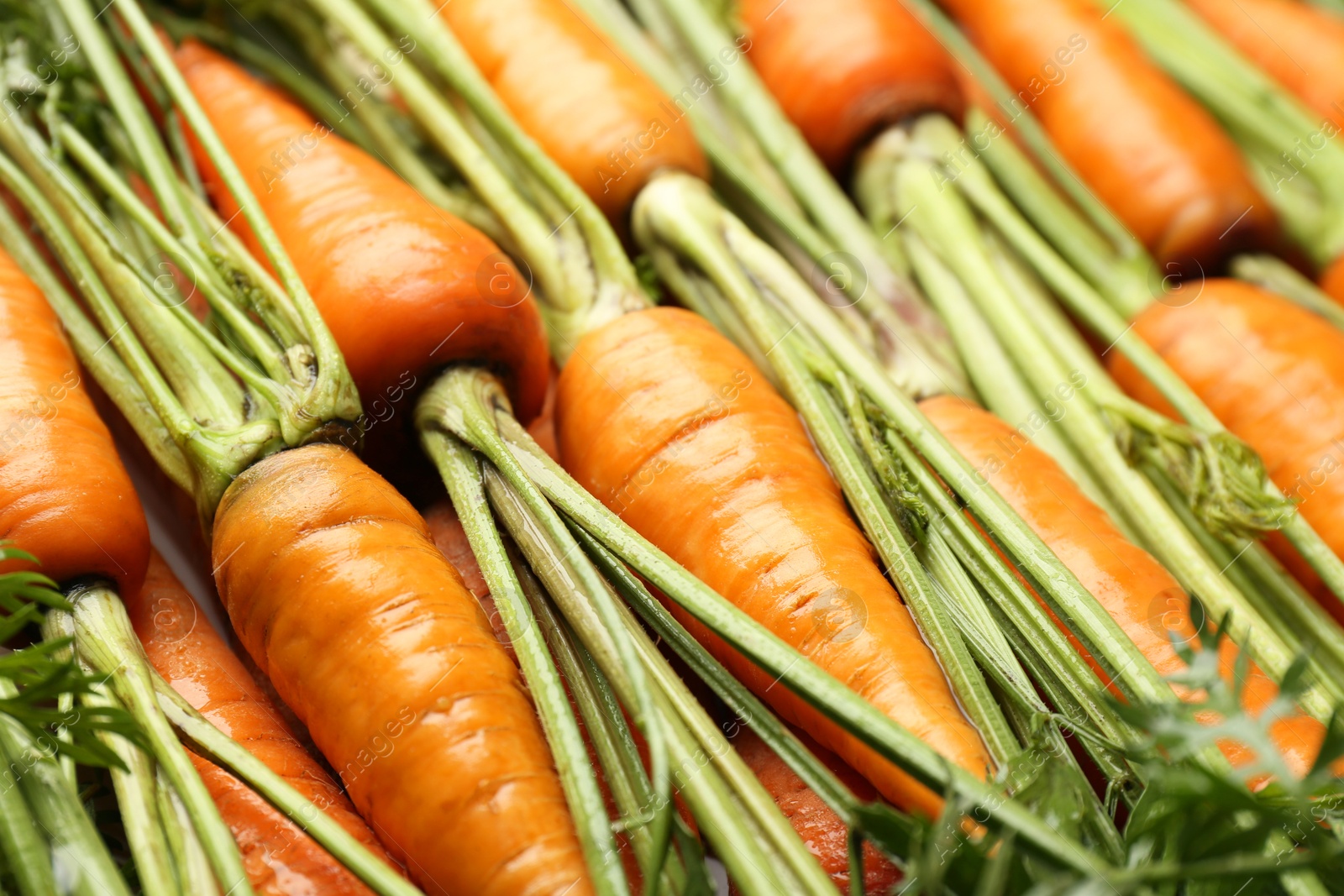 Photo of Tasty ripe juicy carrots as background, closeup