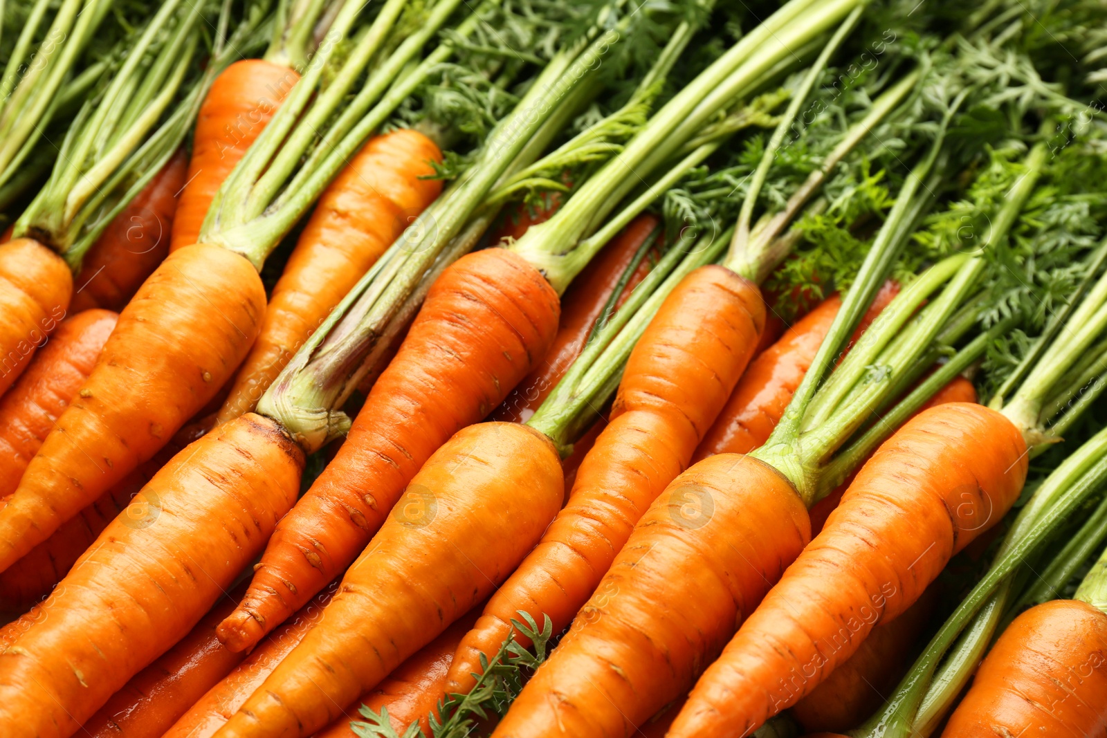 Photo of Tasty ripe juicy carrots as background, closeup