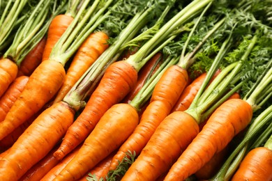 Photo of Tasty ripe juicy carrots as background, closeup