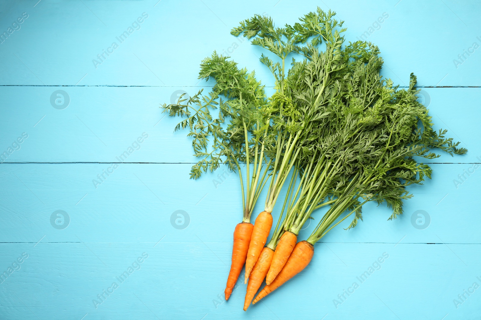 Photo of Tasty ripe juicy carrots on light blue wooden table, flat lay. Space for text