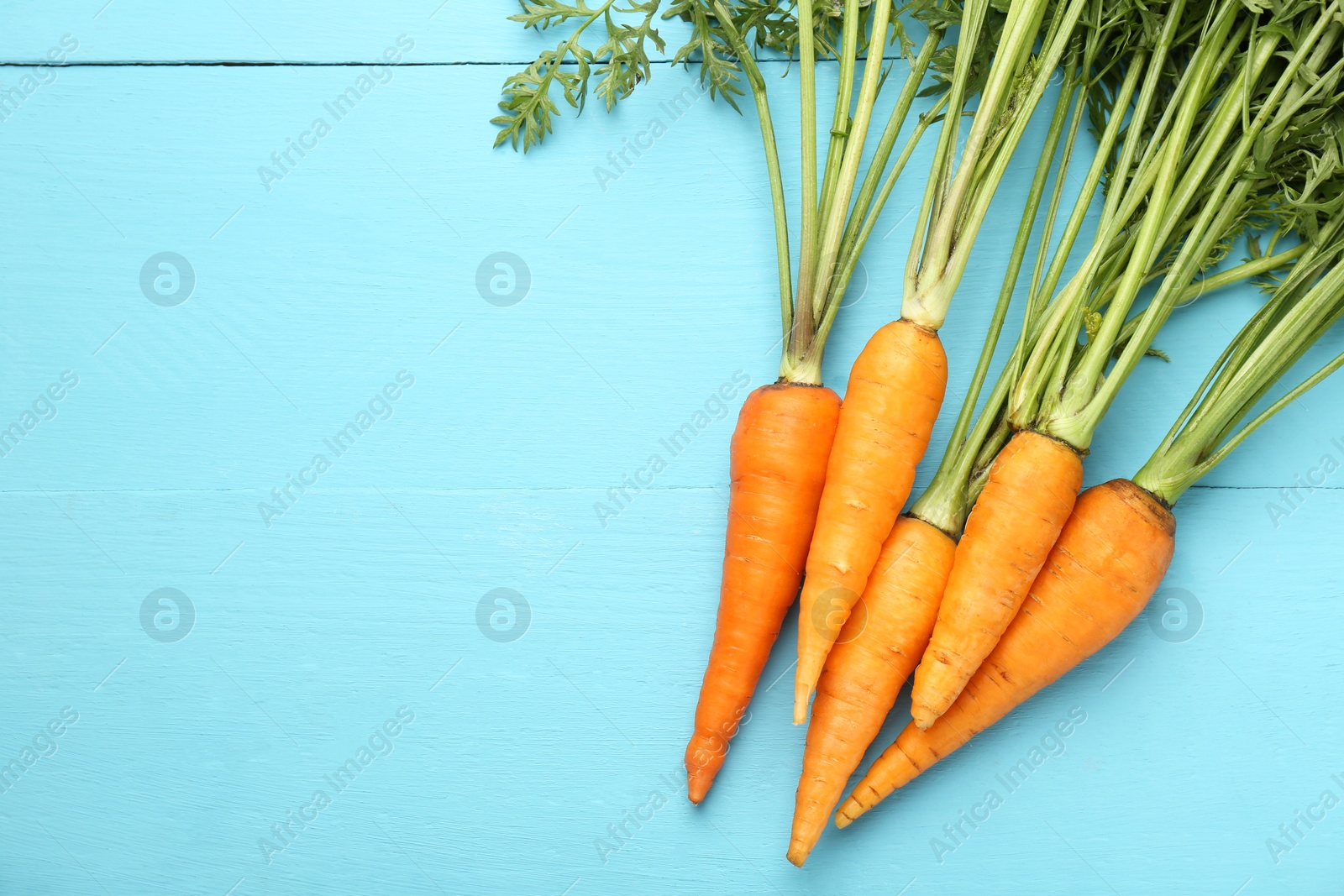 Photo of Tasty ripe juicy carrots on light blue wooden table, flat lay. Space for text