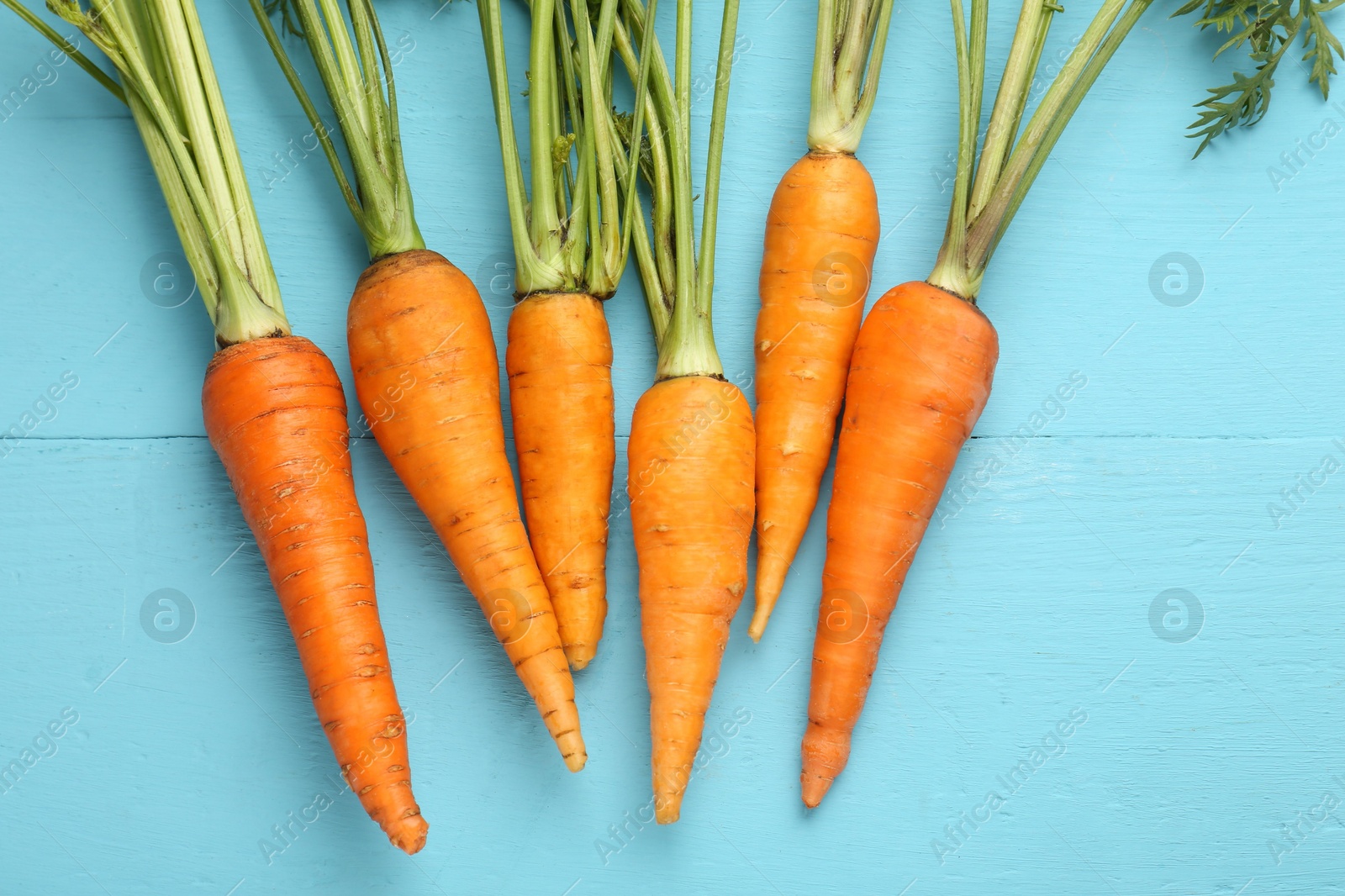 Photo of Tasty ripe juicy carrots on light blue wooden table, flat lay