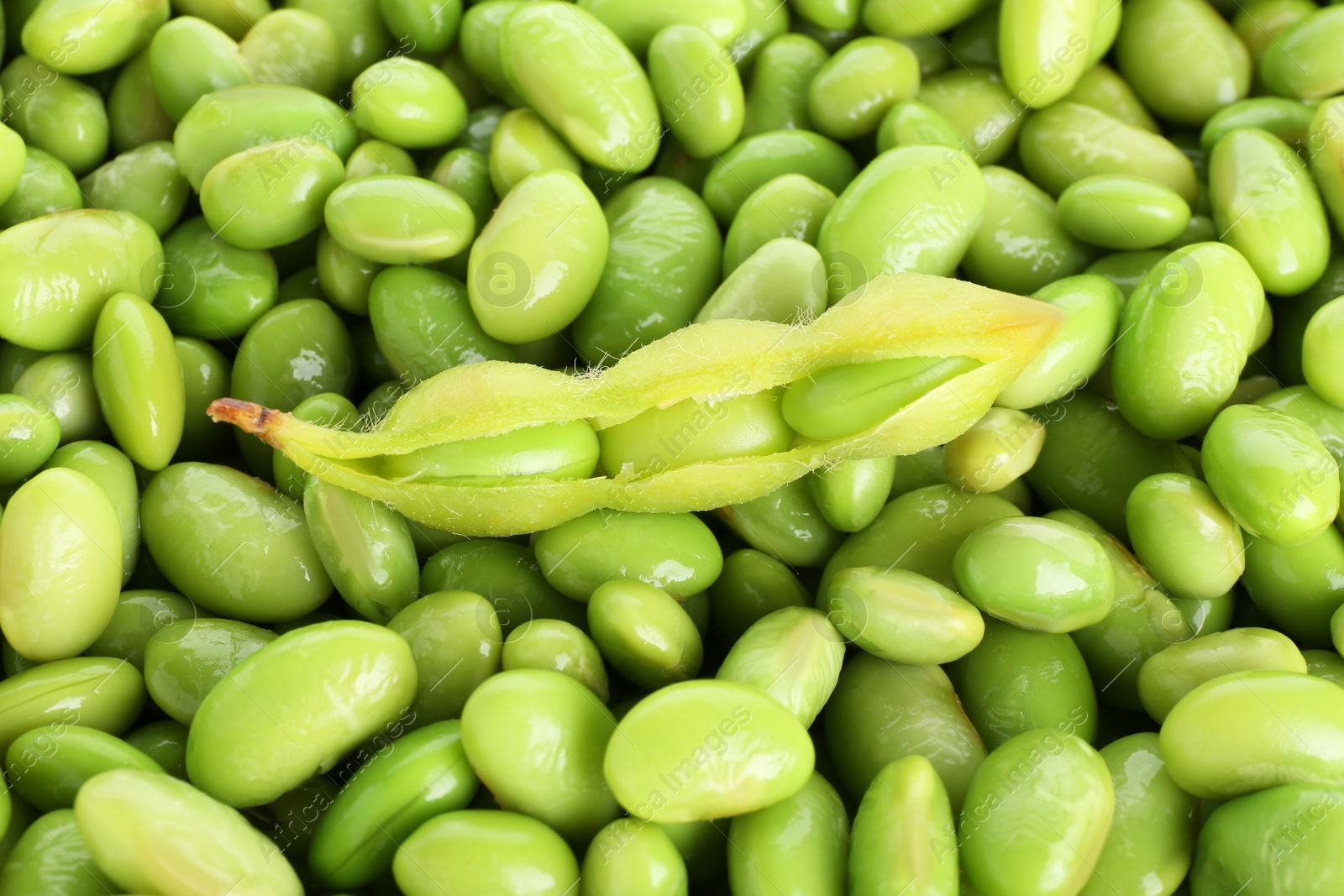 Photo of Raw green edamame pod on soybeans as background, top view