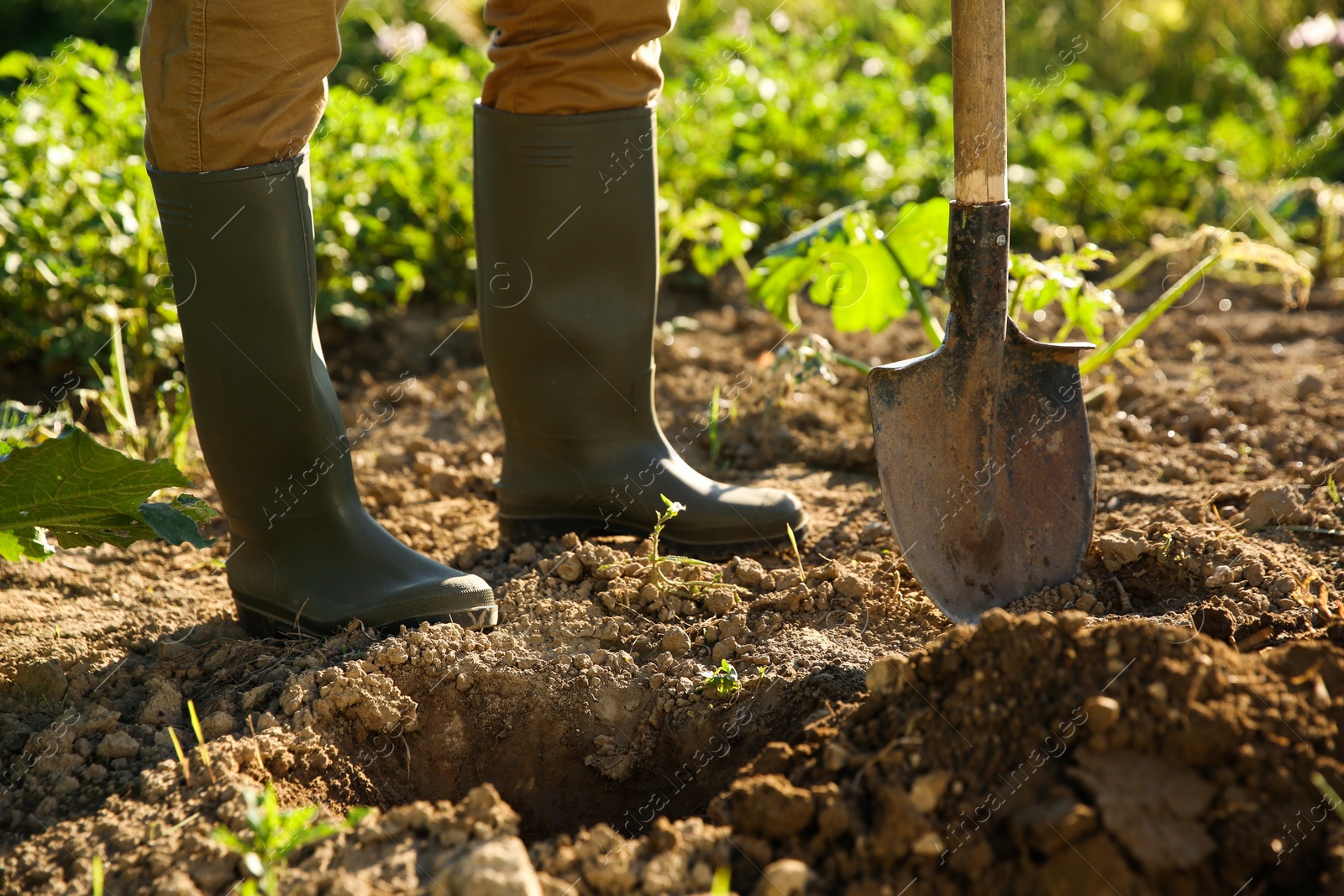 Photo of Farmer with shovel on sunny day, closeup