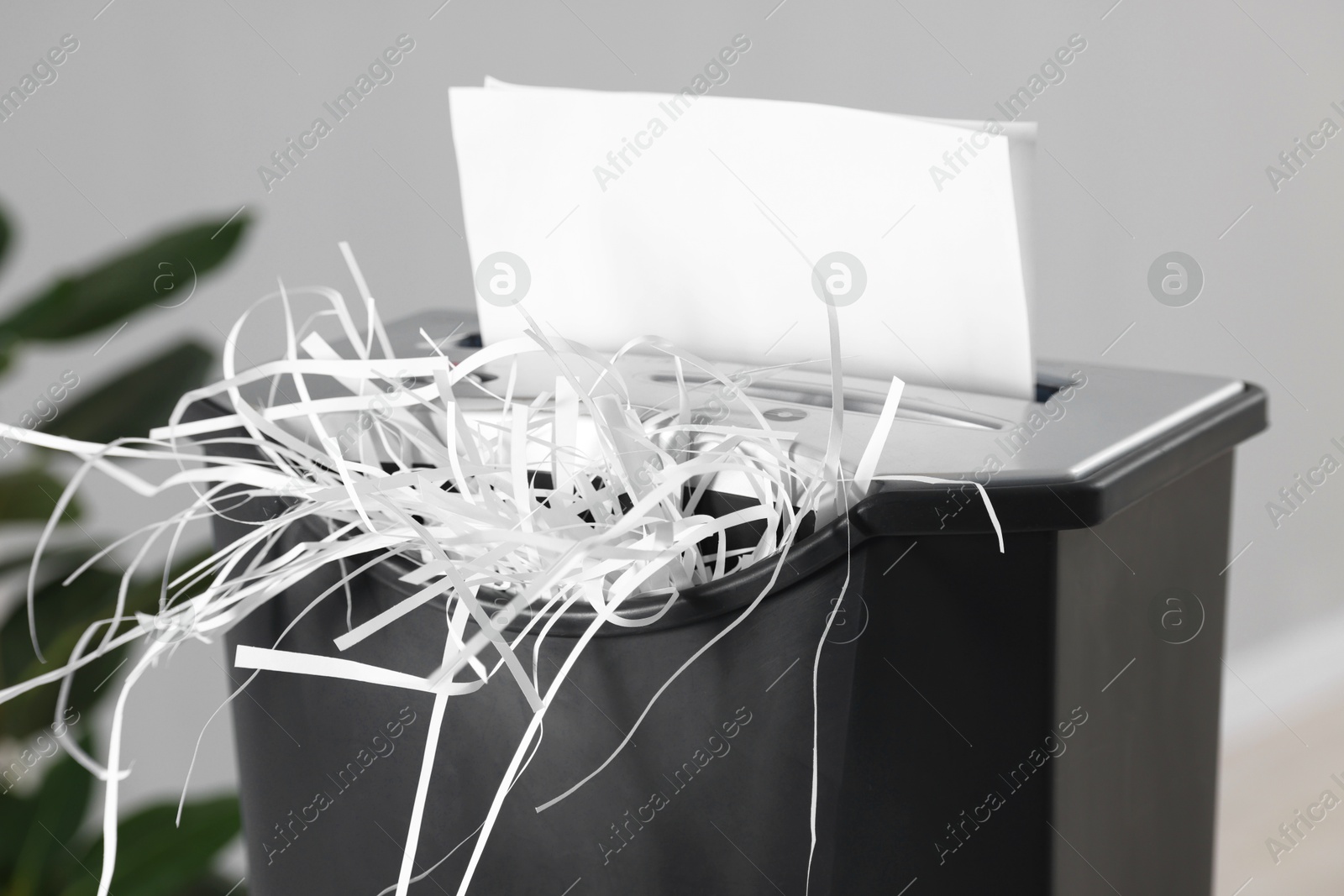 Photo of Destroying sheets of paper with shredder indoors, closeup