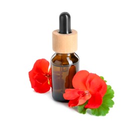 Photo of Bottle of geranium essential oil and beautiful flowers isolated on white