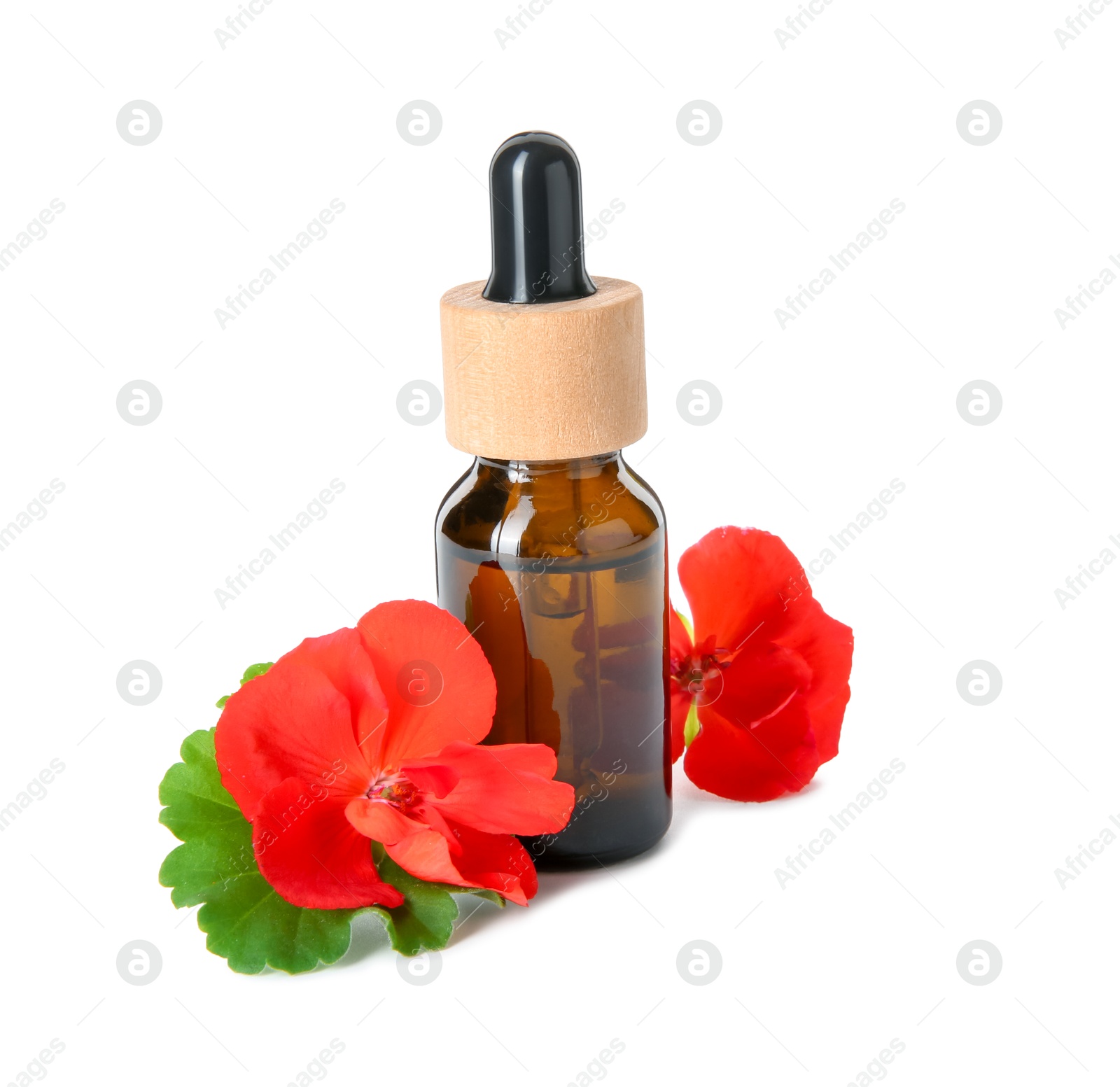 Photo of Bottle of geranium essential oil and beautiful flowers isolated on white