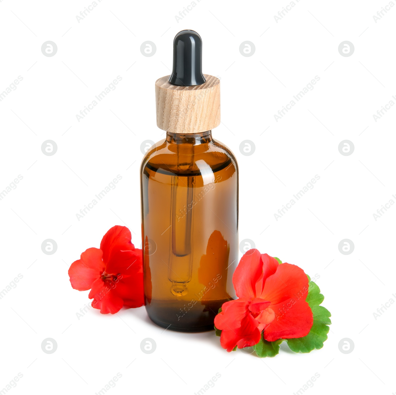 Photo of Bottle of geranium essential oil and beautiful flowers isolated on white