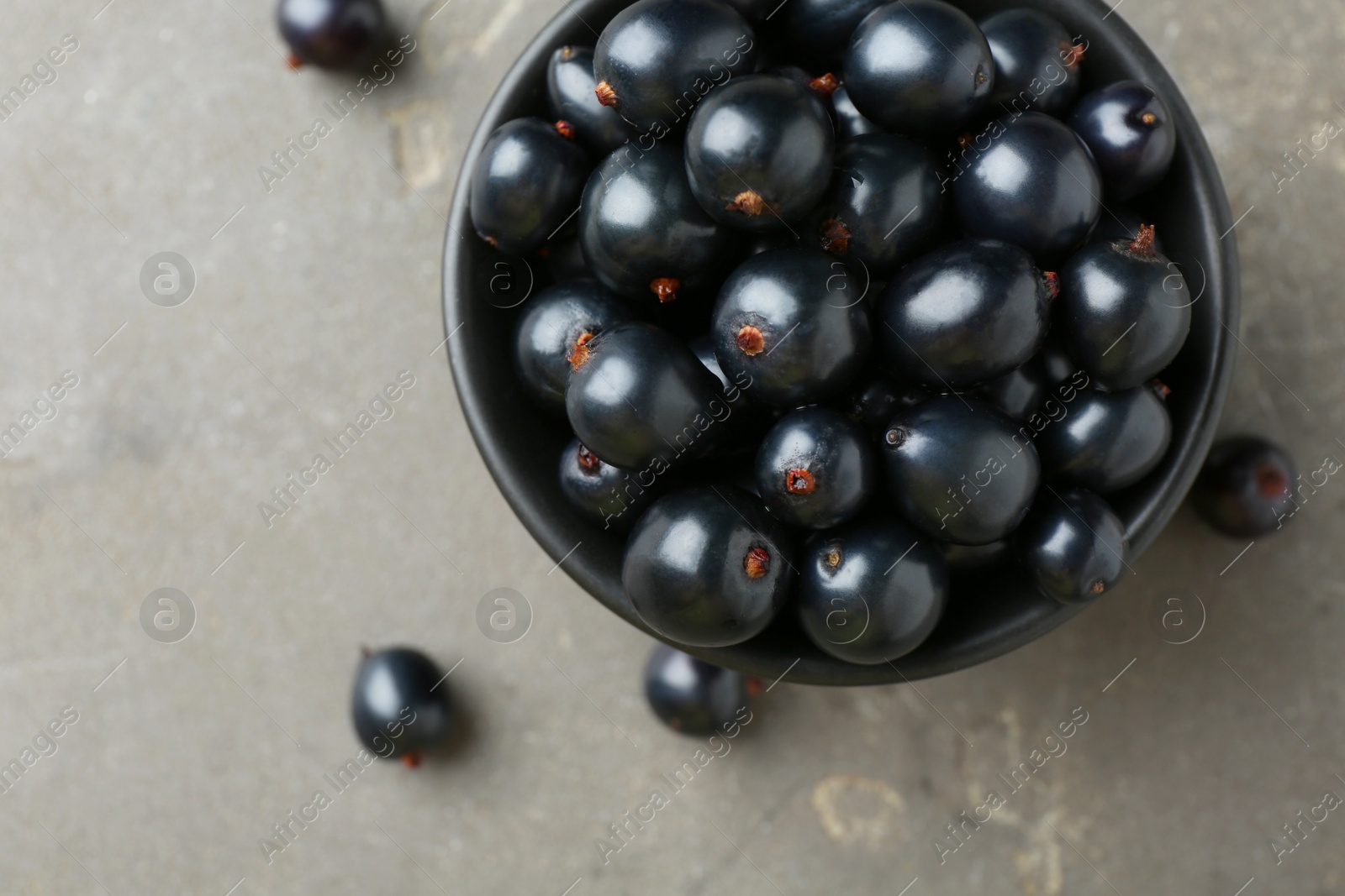 Photo of Ripe black currants in bowl on grey table, top view. Space for text