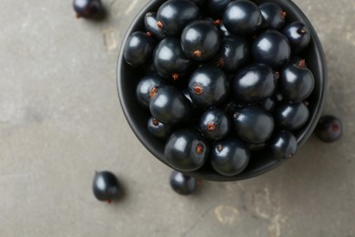 Ripe black currants in bowl on grey table, top view. Space for text