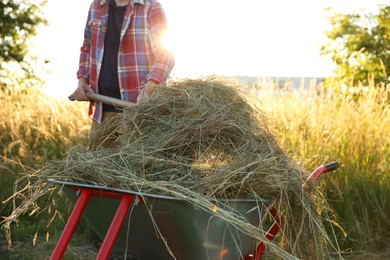 Farmer working with wheelbarrow full of mown grass outdoors, closeup