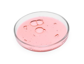 Photo of Petri dish with sample isolated on white