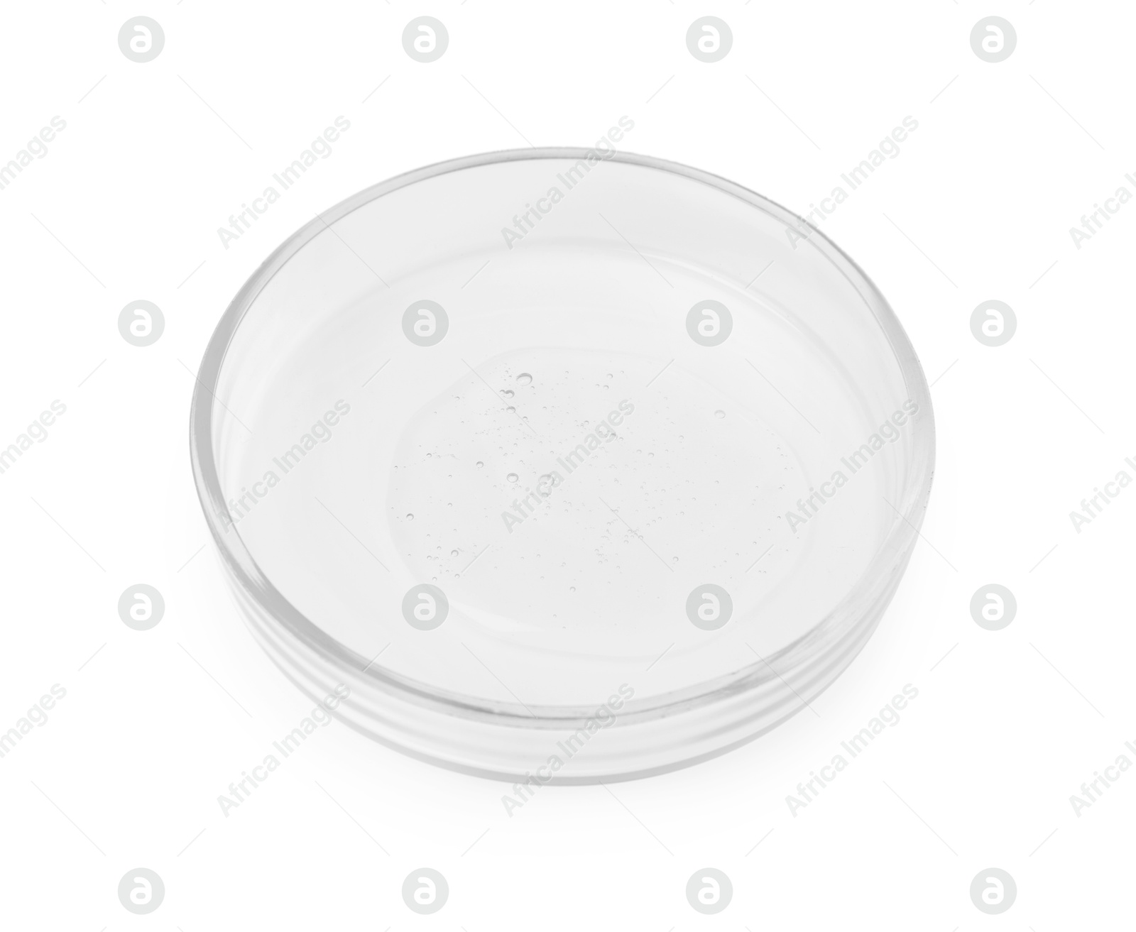 Photo of Petri dish with sample isolated on white