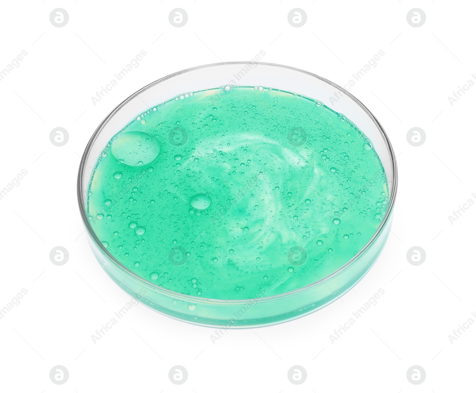 Photo of Petri dish with sample isolated on white