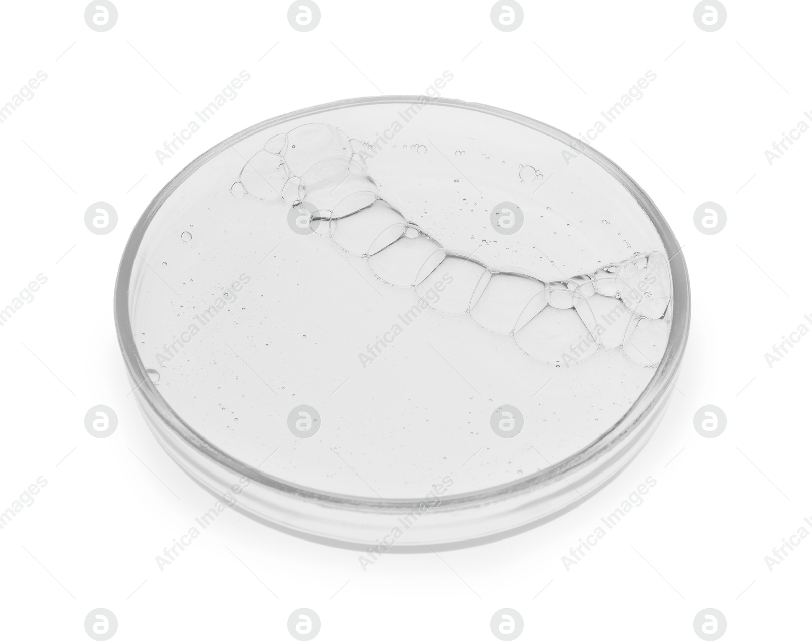 Photo of Petri dish with sample isolated on white