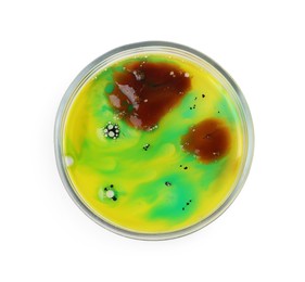 Photo of Petri dish with bacteria isolated on white, top view