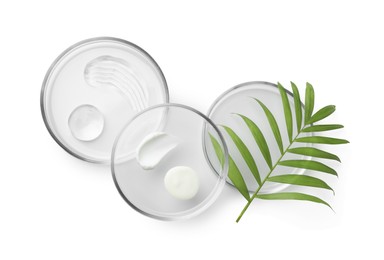 Petri dishes with different cosmetic products and leaves isolated on white, flat lay