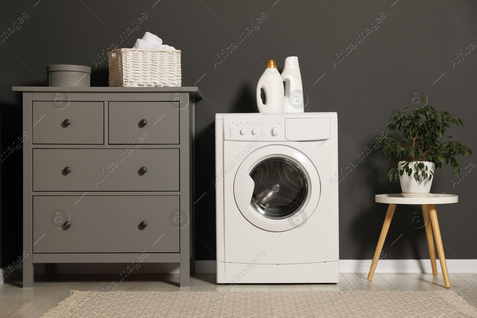 Photo of Washing machine, detergents, chest of drawers and houseplant on table indoors