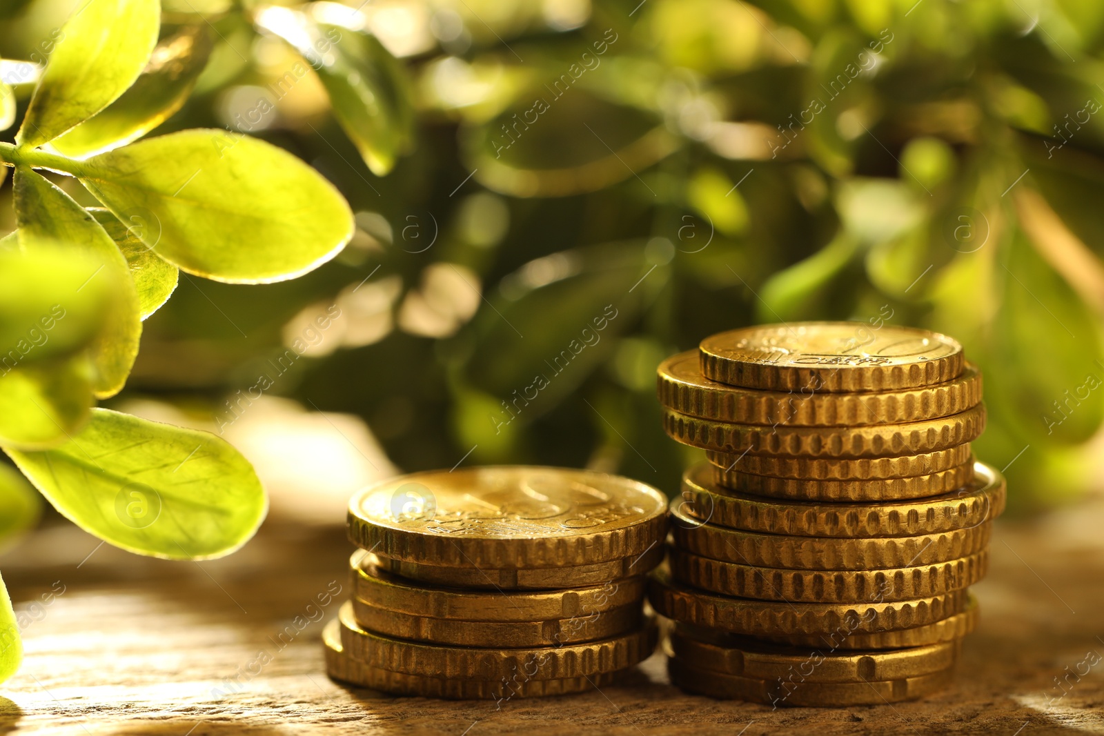 Photo of Stacked euro coins on wooden table outdoors