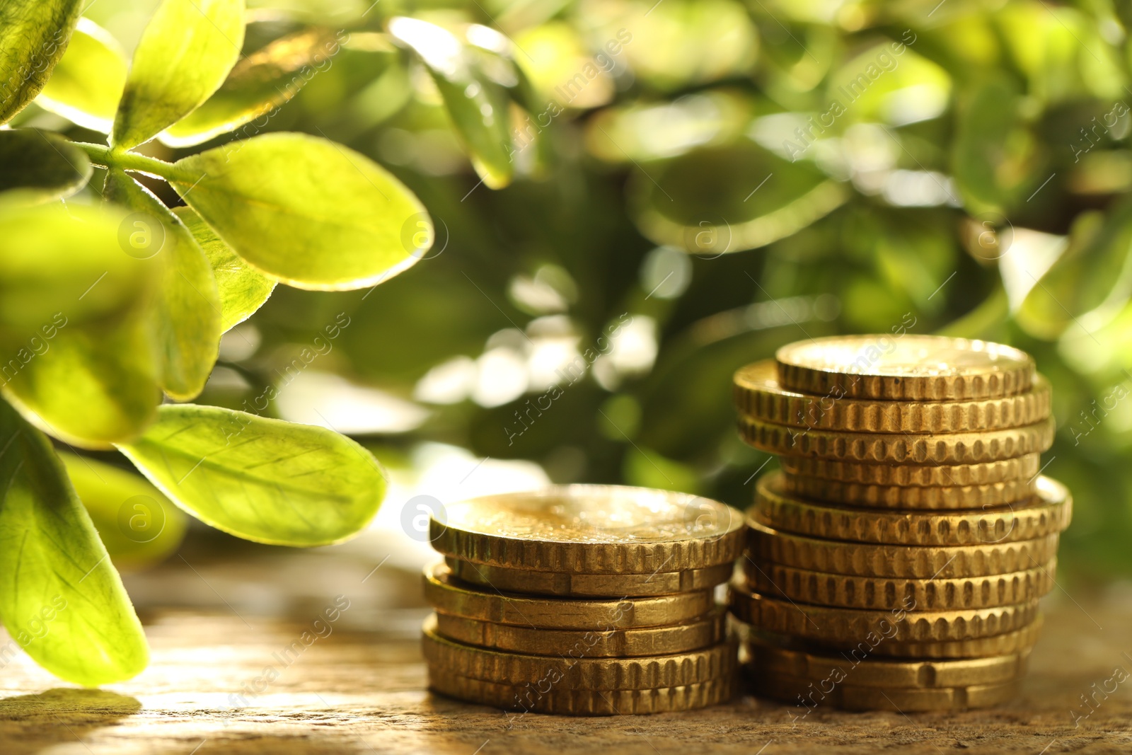 Photo of Stacked euro coins on wooden table outdoors