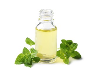 Photo of Essential oil in bottle and oregano leaves isolated on white